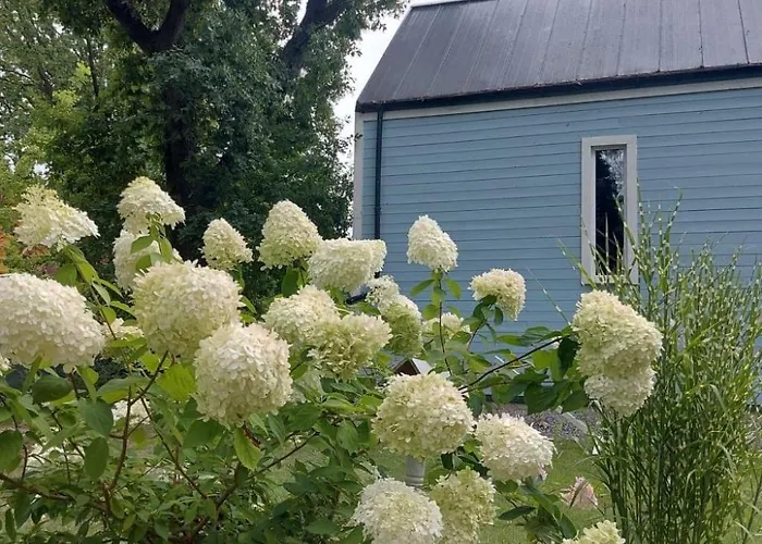 Prázdninový dům Chakram By Interhome Nowe Warpno
